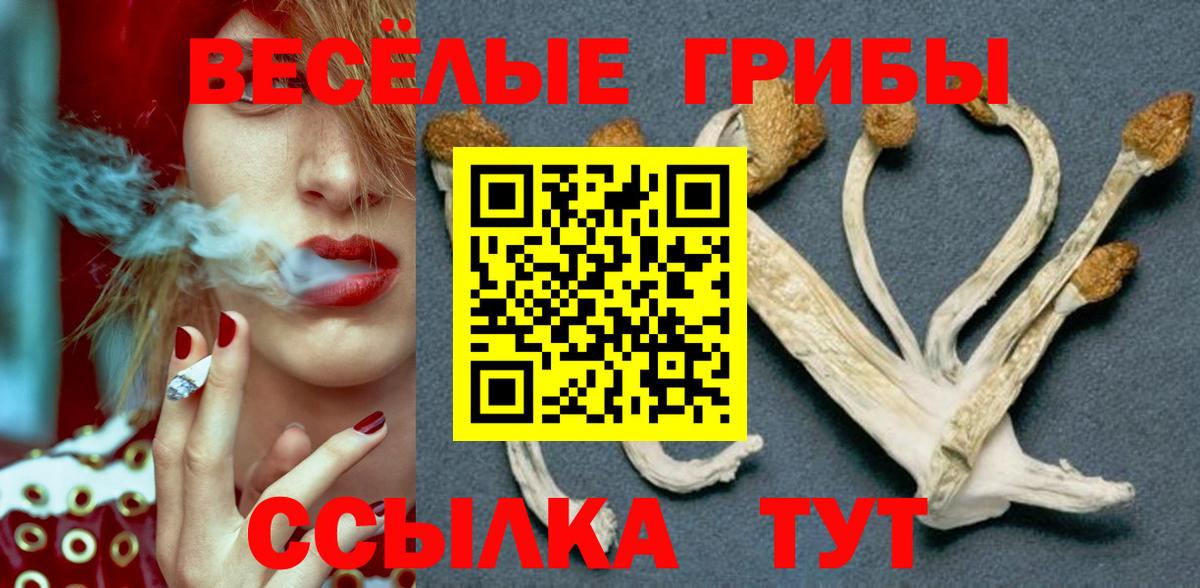 Куйбышев  Псилоцибиновые грибы Psilocybine cubensis  цены наркотик  Вход с VPN 